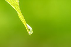 雨上がり〜グリーン〜