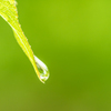 雨上がり〜グリーン〜