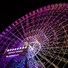 新しい夜の花