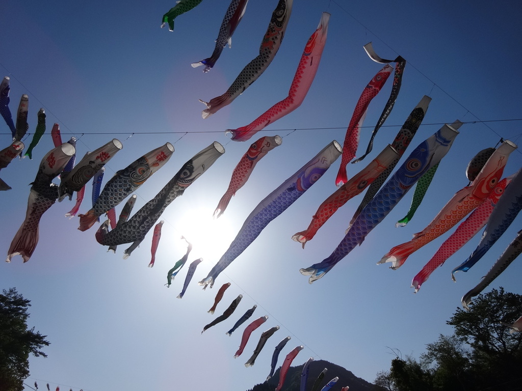 神流町鯉のぼり祭