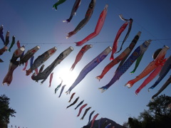 神流町鯉のぼり祭