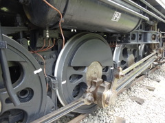 D51