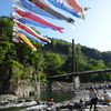 神流町鯉のぼり祭