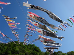 神流町鯉のぼり祭