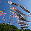 神流町鯉のぼり祭