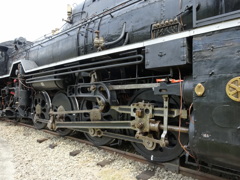 D51