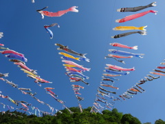 神流町鯉のぼり祭