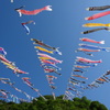 神流町鯉のぼり祭