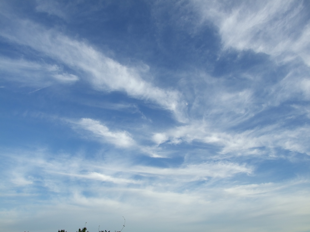 新潟の空１