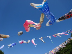 神流町鯉のぼり祭