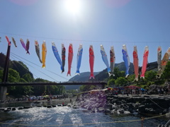 神流町鯉のぼり祭