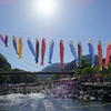 神流町鯉のぼり祭