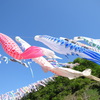神流町鯉のぼり祭
