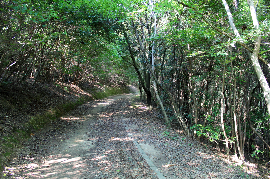 山道