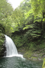 赤目五瀑　壱　不動滝