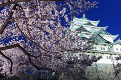 闇に浮かぶ城と桜