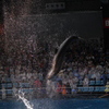 Splash