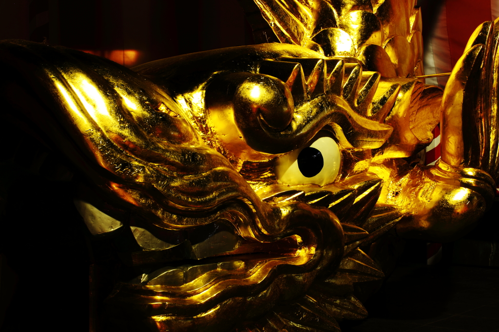 金鯱