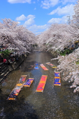 大空を待ち望み