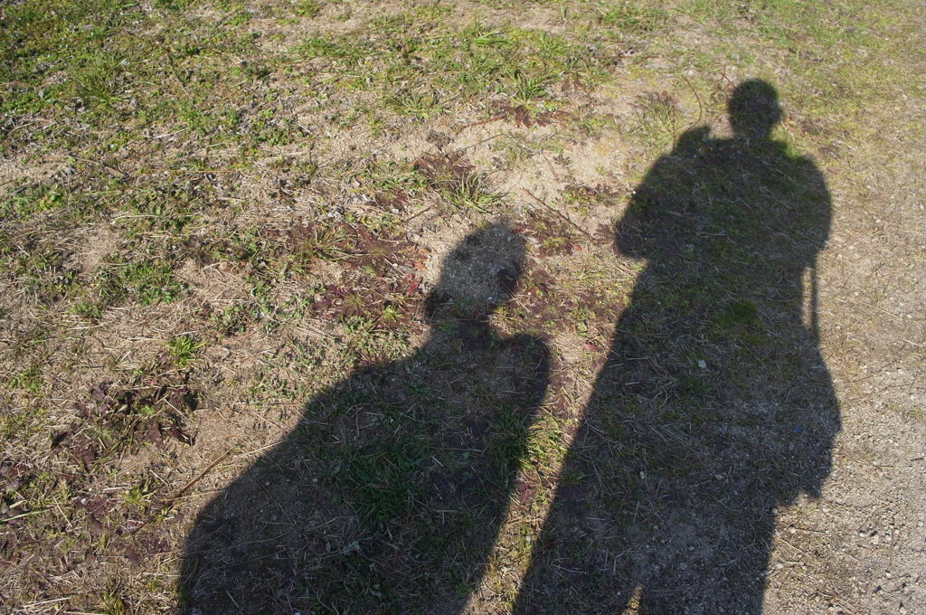 母と梅見に来た