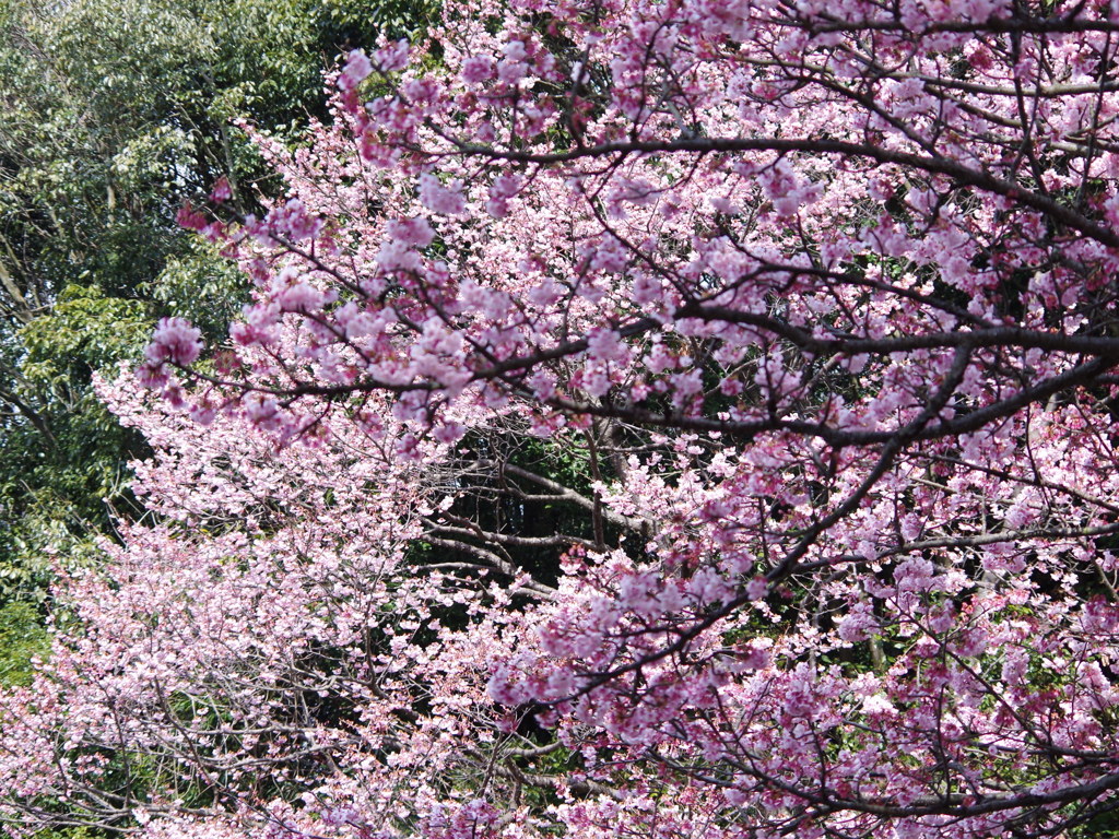 三島神社