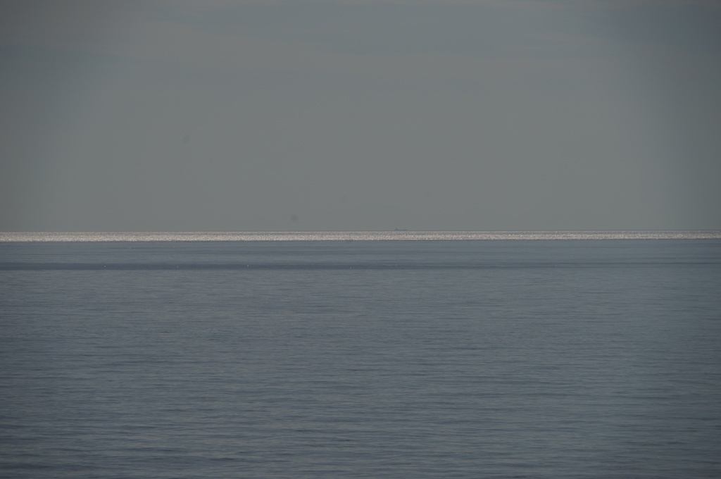 海