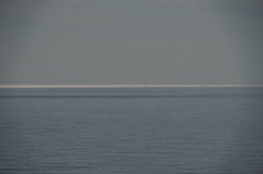 海
