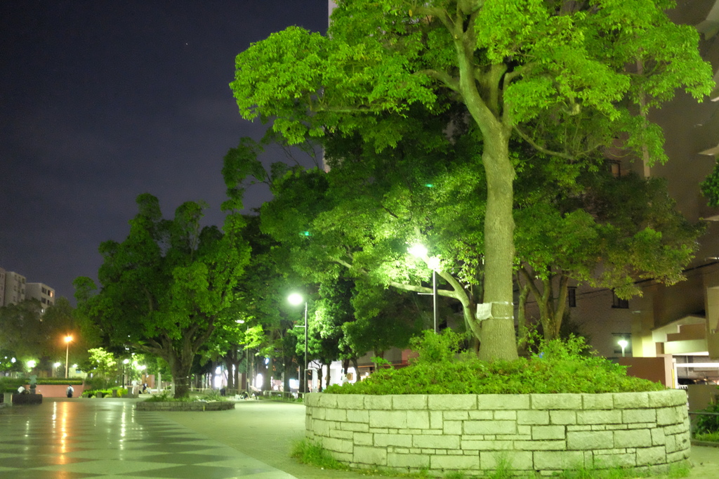 公園