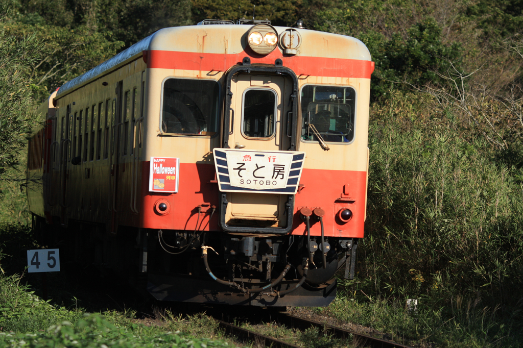 いすみ鉄道特別列車、秋を行く