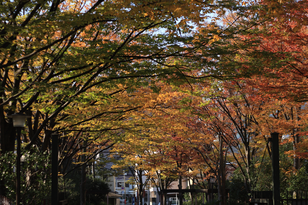 紅いトンネル