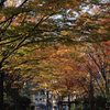 紅いトンネル