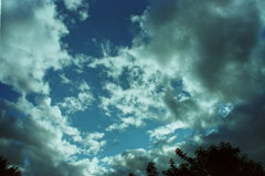 PICT0008