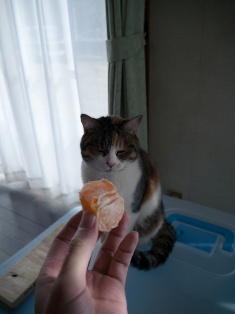 ひくひくした後の