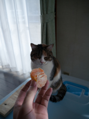 ひくひくした後の