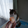 ひくひくした後の