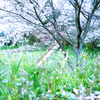 公園