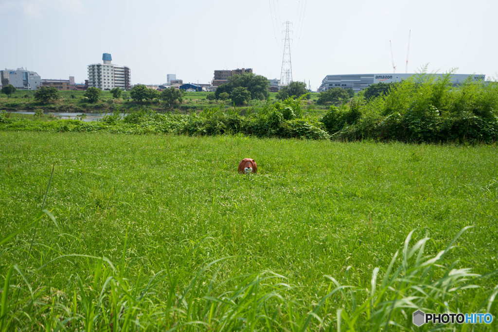 河川敷の