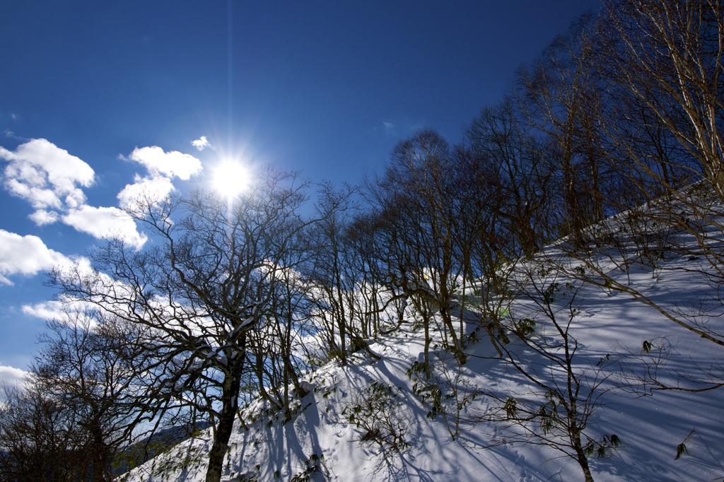 雪山