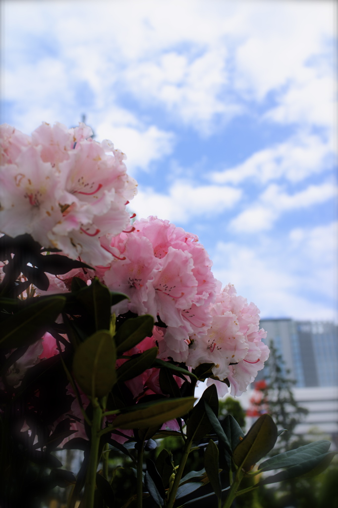 しっとり