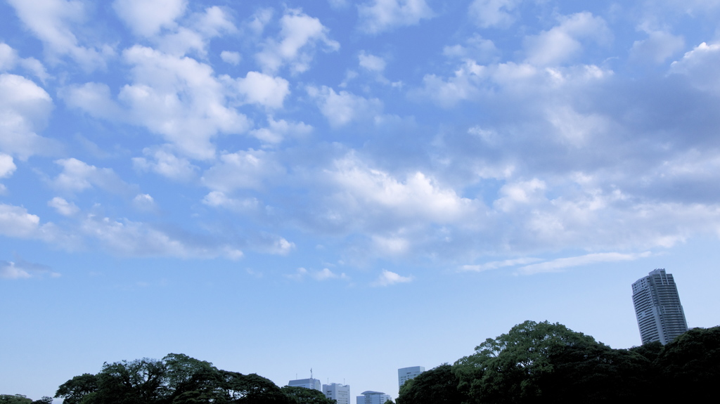 空模様