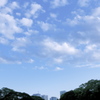 空模様