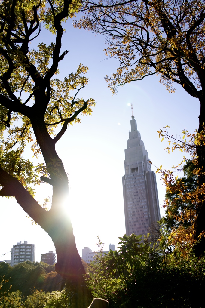 新宿御苑