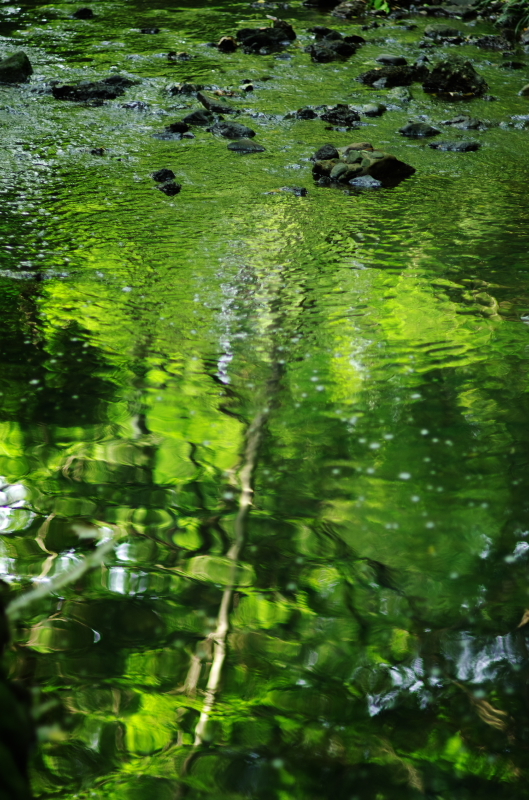 水底の世界