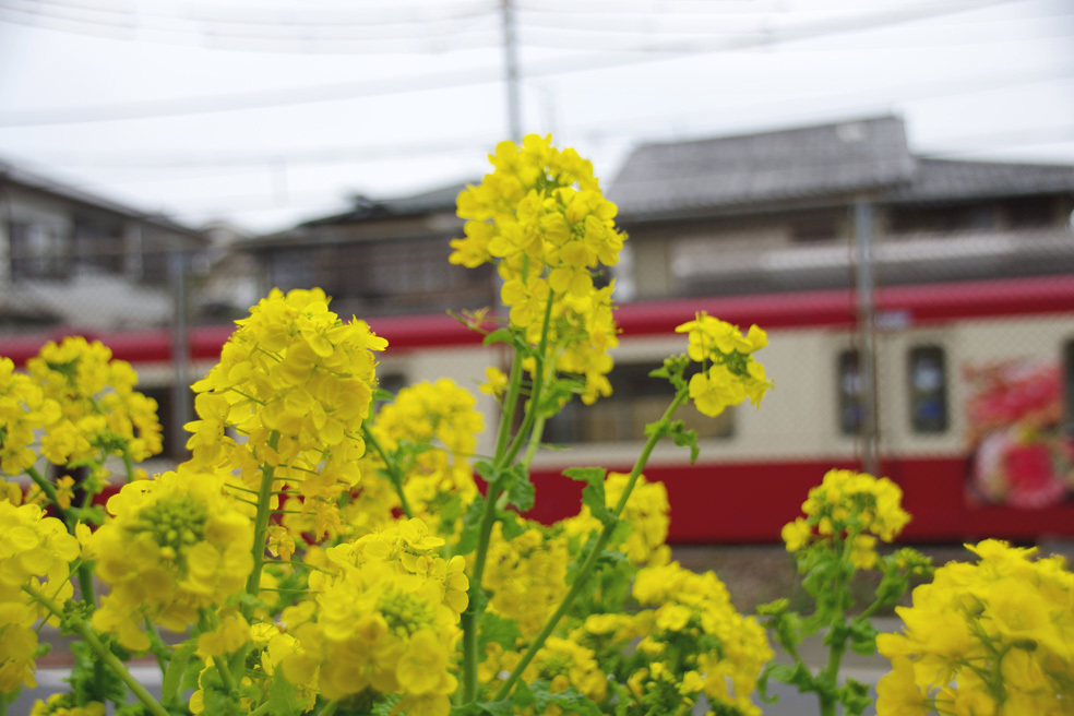 赤と黄色と緑