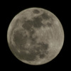 20150305 満月