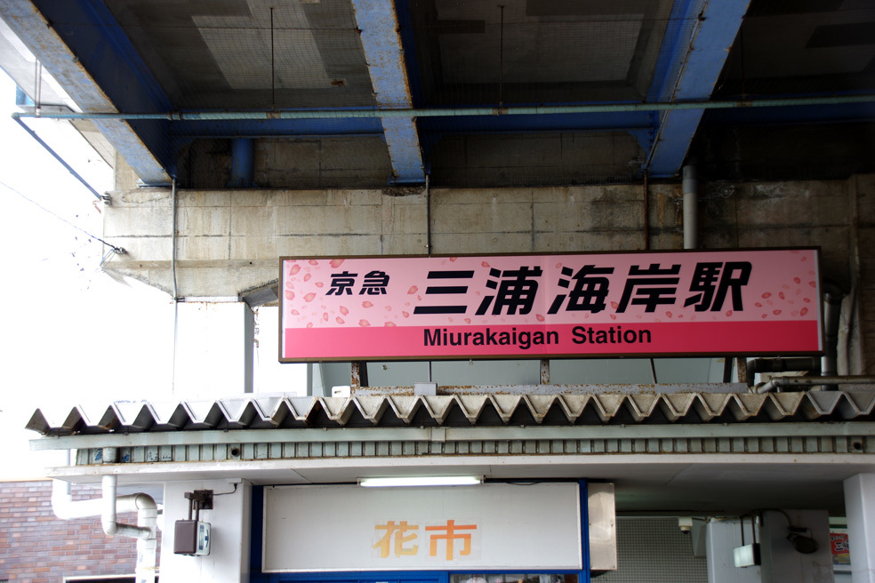 ここも桜色