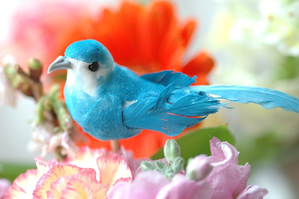 幸せの青い鳥