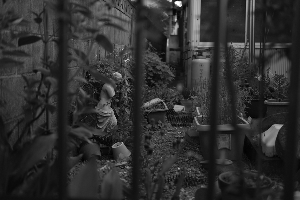 ACROS 3