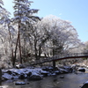 道志川