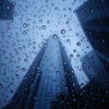 見上げて、雨の星がいっぱい（笑）